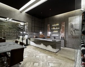 Showroom sau activitati mixte 275mp str Campina zona Hornbach