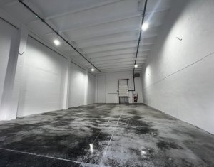 Hala depozitare 285mp, zona Petrom Baciu, acces TIR 