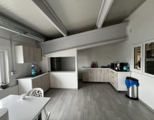 Hala de depozitare si productie 750mp, zona blvd Muncii