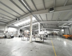 Hala de depozitare si productie 750mp, zona blvd Muncii