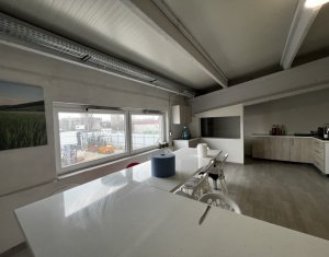 Hala de depozitare si productie 750mp, zona blvd Muncii