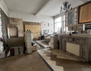 Spatiu mixt 427mp showroom si birouri, str Campina zona Hornbach
