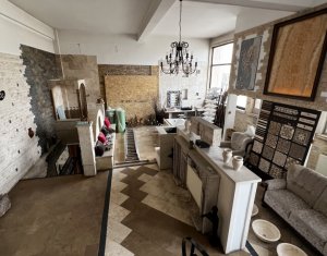 Spatiu mixt 427mp showroom si birouri, str Campina zona Hornbach