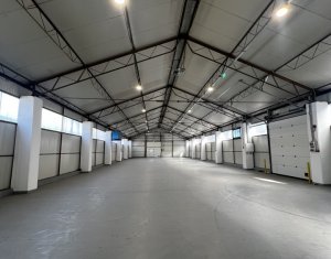 Depozit 484mp, zona industriala Someseni Aeroport 