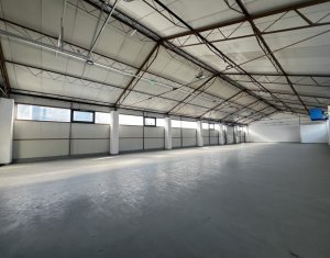 Depozit 484mp, zona industriala Someseni Aeroport 