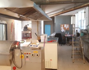 Spatiu 200mp Autorizat Catering - Productie Alimentara zona Horea