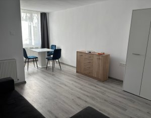 Garsoniera moderna de inchiriat, Dambul Rotund