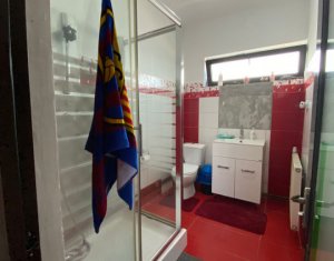 Inchiriere casa deosebita Salicea, 162 mp utili si 700 mp teren