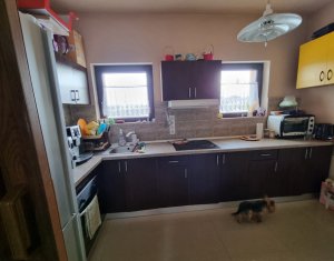 Inchiriere casa deosebita Salicea, 162 mp utili si 700 mp teren