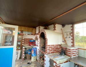 Inchiriere casa deosebita Salicea, 162 mp utili si 700 mp teren