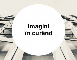 Apartament 1 camera, langa Iulius Mall