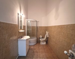 Spatiu 50mp, pivnita 35mp, 1 parcare, Ultracentral - bd. Eroilor