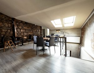 Espace Commercial à louer dans Cluj-napoca, zone Centru