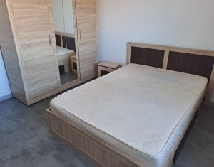 Apartment 2 rooms for rent in Floresti