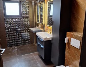 Apartment 3 rooms for rent in Cluj-napoca, zone Borhanci