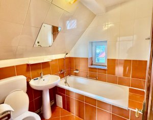 Apartment 2 rooms for rent in Cluj-napoca, zone Someseni