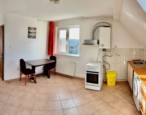 Apartment 2 rooms for rent in Cluj-napoca, zone Someseni