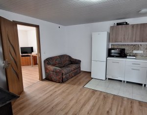 Appartement 2 chambres à louer dans Cluj-napoca, zone Centru