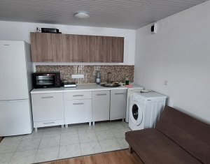Appartement 2 chambres à louer dans Cluj-napoca, zone Centru
