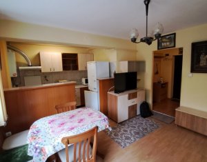 Apartment 2 rooms for rent in Cluj-napoca, zone Buna Ziua