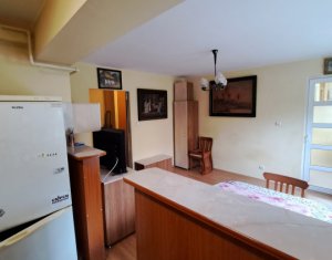 Apartment 2 rooms for rent in Cluj-napoca, zone Buna Ziua