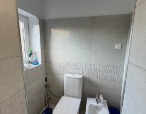 Apartment 2 rooms for rent in Cluj-napoca