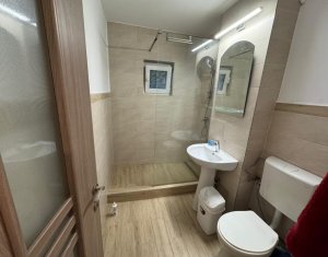 Appartement 2 chambres à louer dans Cluj-napoca, zone Grigorescu