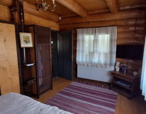 Inchiriere vila de lux, Campenesti dotari de exceptie!