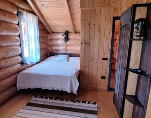 Inchiriere vila de lux, Campenesti dotari de exceptie!