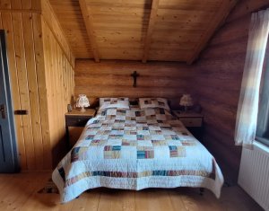 Inchiriere vila de lux, Campenesti dotari de exceptie!