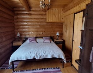 Inchiriere vila de lux, Campenesti dotari de exceptie!