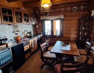 Inchiriere vila de lux, Campenesti dotari de exceptie!