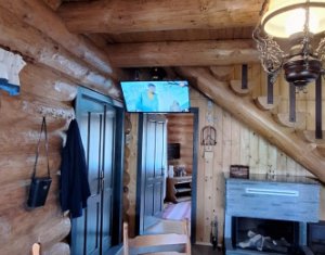 Inchiriere vila de lux, Campenesti dotari de exceptie!