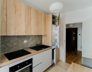 Appartement 2 chambres à louer dans Cluj-napoca, zone Intre Lacuri
