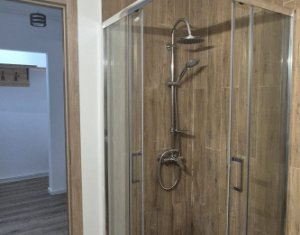Apartment 1 rooms for rent in Floresti