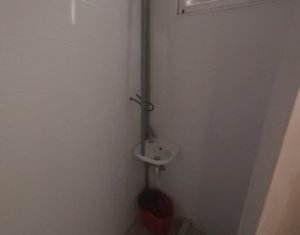 Inchiriere spatiu comercial, alimentatie publica, vad