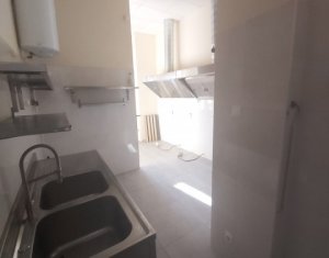 Inchiriere spatiu comercial, alimentatie publica, vad