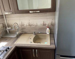 Studio for rent in Cluj-napoca, zone Marasti