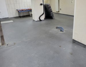 Commercial space for rent in Cluj-napoca, zone Manastur