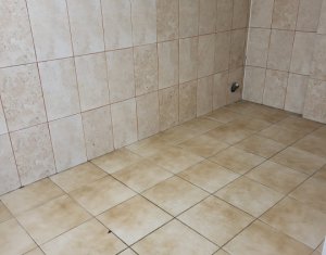 Commercial space for rent in Floresti