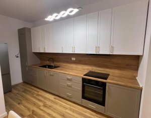 Apartment 2 rooms for rent in Cluj-napoca, zone Iris