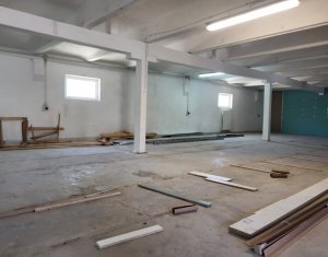 Commercial space for rent in Floresti