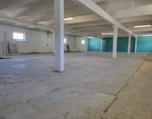 Commercial space for rent in Floresti