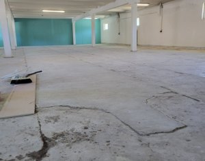 Commercial space for rent in Floresti