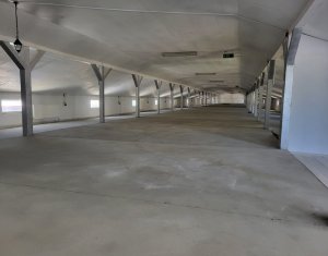 Commercial space for rent in Floresti