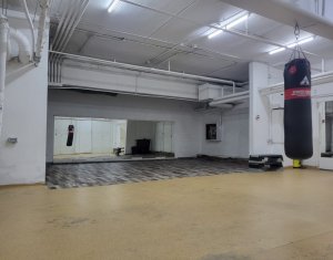 Commercial space for rent in Cluj-napoca, zone Manastur