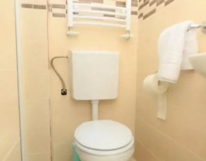 Inchiriere apartament 2 camere ultracentral, zona Sora