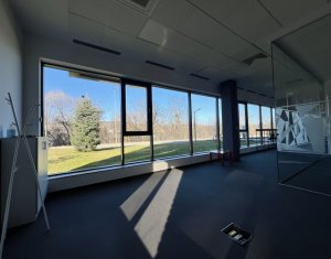 Spatiu multifunctional 220mp, parcari, zona Tetarom I 