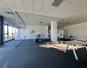 Spatiu multifunctional 220mp, parcari, zona Tetarom I 