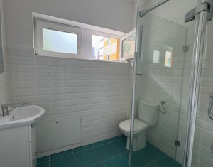 House 4 rooms for rent in Cluj-napoca, zone Buna Ziua